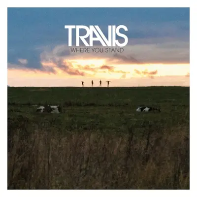 Where You Stand (Travis) (Vinyl / 12" Album)