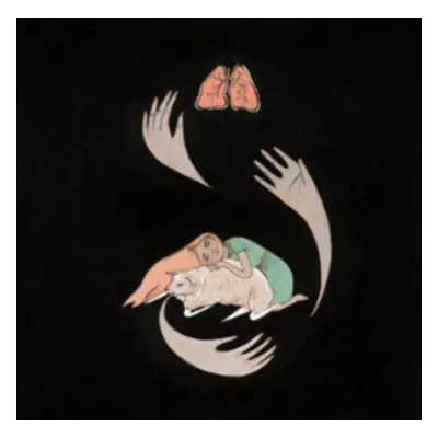 "Shrines" ("Purity Ring") (Vinyl / 12" Album)