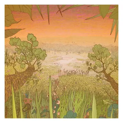 "Mirage On the Meadow" ("Pine Barons") (Vinyl / 12" Album)