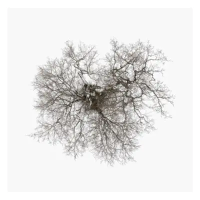 "Tree" ("John Metcalfe") (CD / Album)