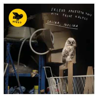 "Salika, Molika" ("Erlend Apneseth Trio with Frode Haltli") (CD / Album)