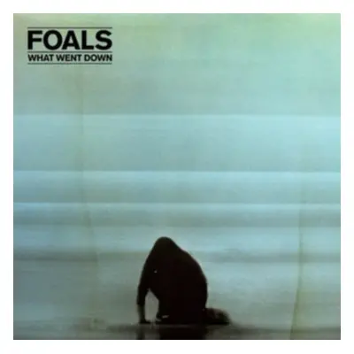 "What Went Down" ("Foals") (Vinyl / 12" Album)