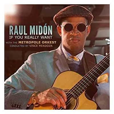 "If You Really Want" ("Raul Midon") (CD / Album)