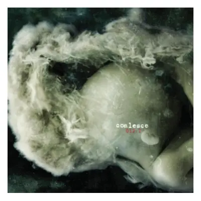 "00:12.2" ("Coalesce") (CD / Album)