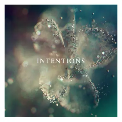 "Intentions" ("") (Vinyl / 12" Album)