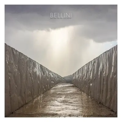 "Before the Day Has Gone" ("Bellini") (Vinyl / 12" Album)