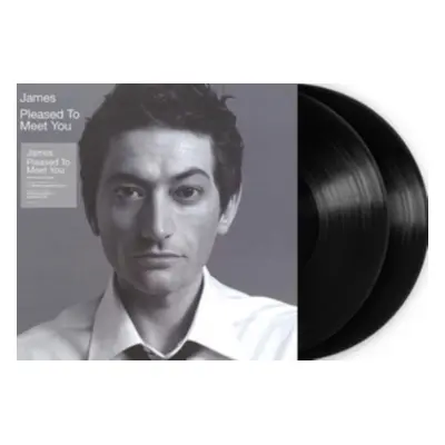 "Pleased to Meet You" ("James") (Vinyl / 12" Album)