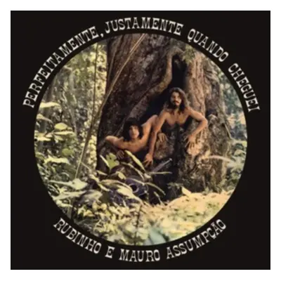 "Perfeitamente, Justamente Quando Cheguei" ("Rubinho E Mauro Assumpo") (Vinyl / 12" Album)