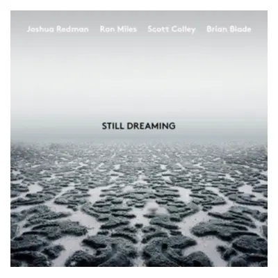 Still Dreaming (Feat. Ron Miles, Scott Colley & Brian Blade) (Joshua Redman) (CD / Album)