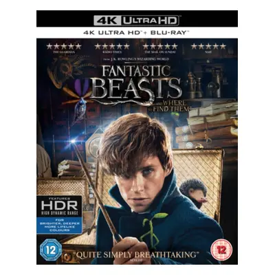 "Fantastic Beasts and Where to Find Them" ("David Yates") (Blu-ray / 4K Ultra HD + Blu-ray)