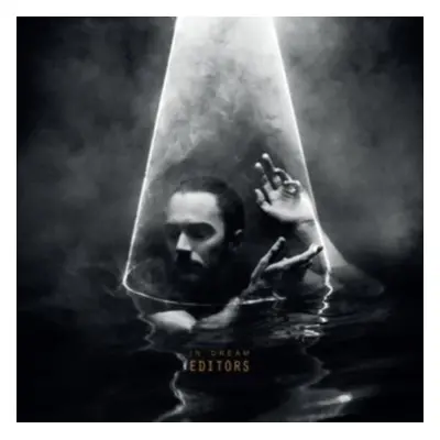 "In Dream" ("Editors") (Vinyl / 12" Album)