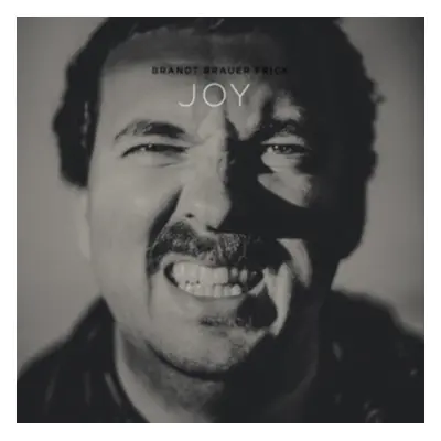 Joy (Brandt Brauer Frick) (CD / Album)