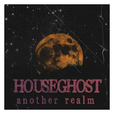 "Another realm" ("Houseghost") (Vinyl / 12" Album)