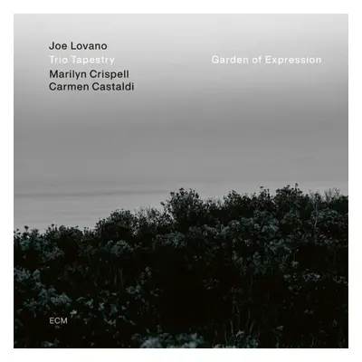 "Garden of Expression" ("Joe Lovano") (Vinyl / 12" Album)