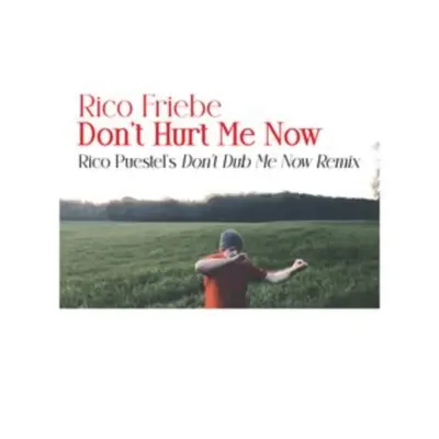 "Don't Hurt Me Now (Rico Puestel's 'Don't Dub Me Now' Remix)" ("Rico Friebe") (Vinyl / 12" Singl