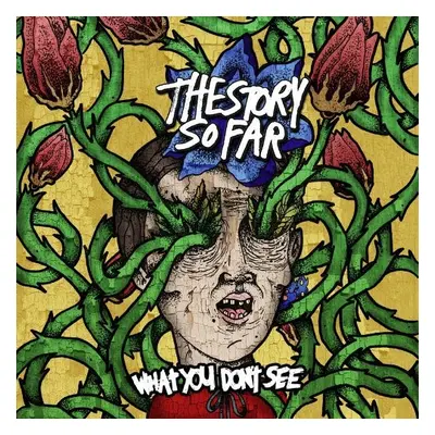 "What You Don't See" ("The Story So Far") (CD / Album)