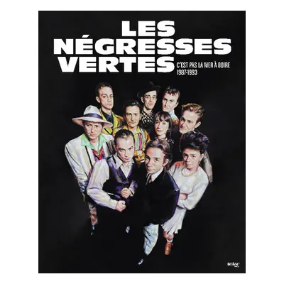 "C'est Pas La Mer a Boire 1987-1993" ("Les Negresses Vertes") (CD / Box Set with DVD)