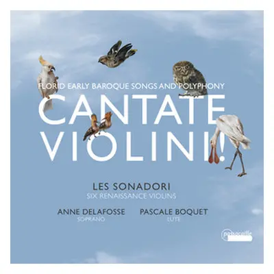 "Cantate Violini!: Florid Early Baroque Songs and Polyphony" ("") (CD / Album)