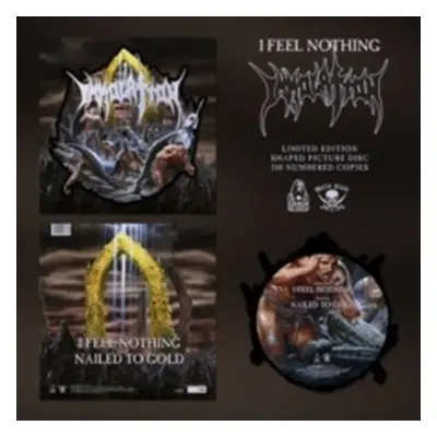 "I Feel Nothing" ("Immolation") (Vinyl / 12" Album Picture Disc)