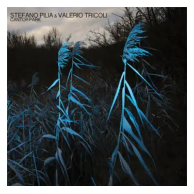 "Cantor Park" ("Stefano Pilia & Valerio Tricoli") (CD / Album)