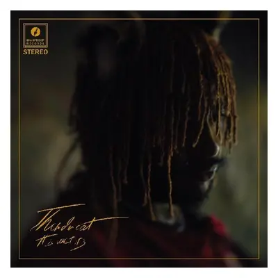 "It Is What It Is" ("Thundercat") (Vinyl / 12" Album)