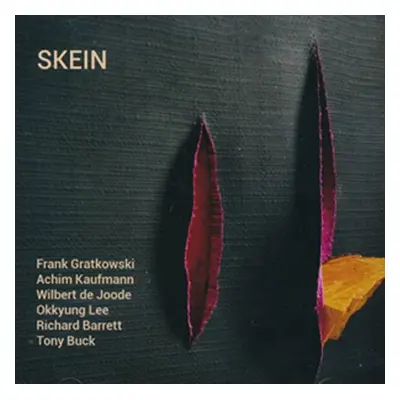 "Skein" ("Frank Grathowski/Achim Kaufmann/Wilbert de Joode/Okkyung Lee/Richard Barrett/Tony Buck