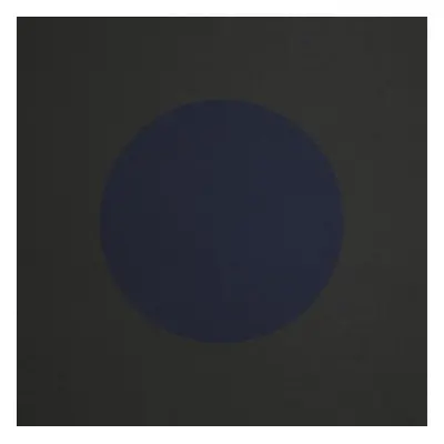 "B-sides and Rarities" ("Beach House") (Vinyl / 12" Album)