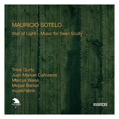 "Wall of Light, Music for Sean Scully (Sotelo)" ("") (CD / Album)