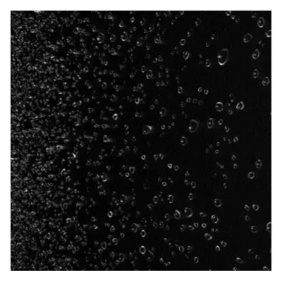 Steam Rooms (DJ Lag & Okzharp) (Vinyl / 12" EP)