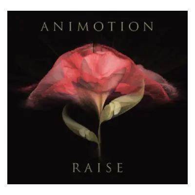 "Raise Your Expectations" ("Animotion") (Vinyl / 12" Album)