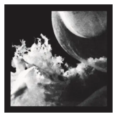 "Embryo" ("Jlin") (Vinyl / 12" EP)