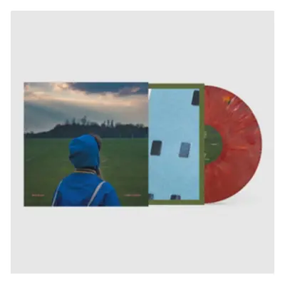 "What a Boost" ("Rozi Plain") (Vinyl / 12" Album Coloured Vinyl)