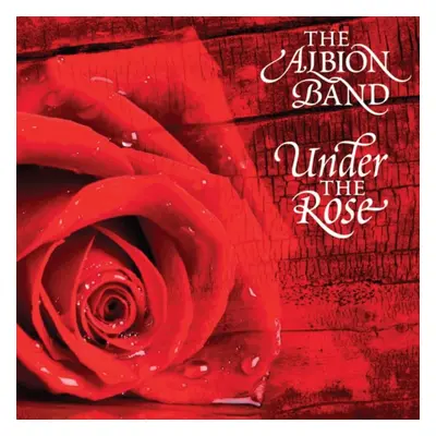 "Under the Rose" ("The Albion Band") (CD / Album)