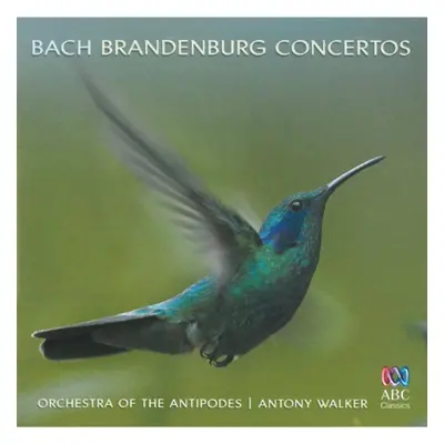 "Bach: Brandenburg Concertos" ("") (CD / Album)