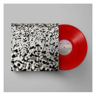 "Flood" ("Stella Donnelly") (Vinyl / 12" Album Coloured Vinyl (Limited Edition))