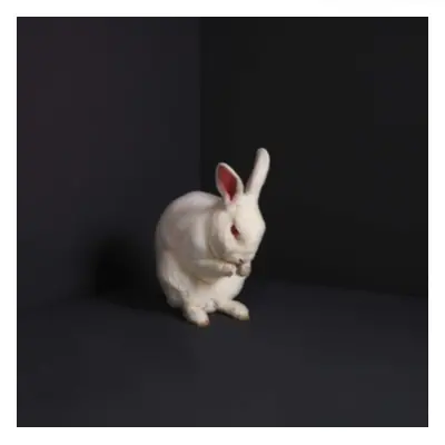 "Rabbits" ("Brume") (Vinyl / 12" Album)