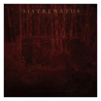 "Sensitive Disturbance" ("Sistrenatus") (CD / Album)