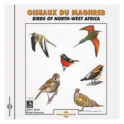 "Oiseaux Du Maghreb (Birds of N.W. Africa)" ("Birdsong") (CD / Album)