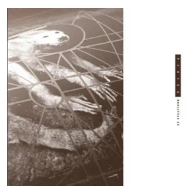 "Doolittle 25" ("Pixies") (CD / Box Set)