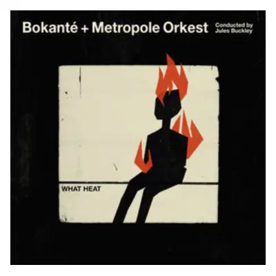 "What Heat" ("Bokant & Metropole Orkest & Jules Buckley") (CD / Album)