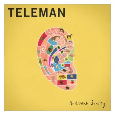 "Brilliant Sanity" ("Teleman") (CD / Album)