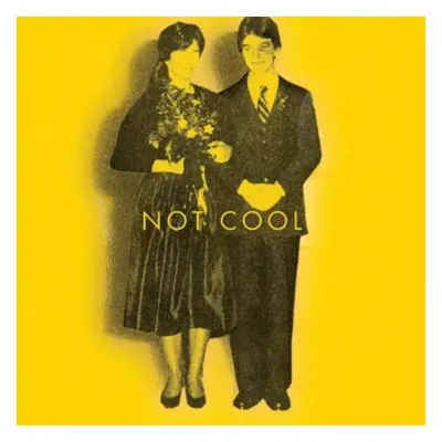 "Not Cool" ("Tim Easton") (CD / Album)