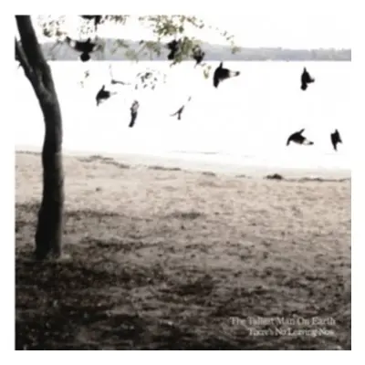 "There's No Leaving Now" ("The Tallest Man On Earth") (CD / Album)