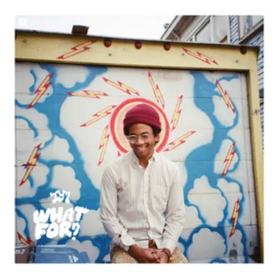 "What For?" ("Toro Y Moi") (Vinyl / 12" Album)