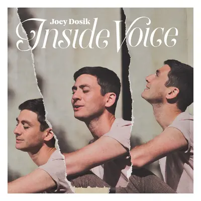 "Inside Voice" ("Joey Dosik") (CD / Album)