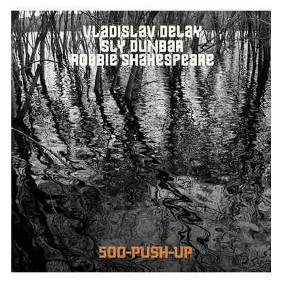 "500 Push Up" ("Vladislav Delay meets Sly & Robbie") (Vinyl / 12" Album)