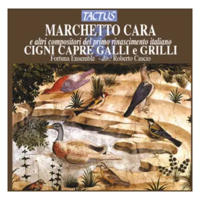 "Marchetto Cara E Altri Compositori Del Primo Rinascimento..." ("") (CD / Album)