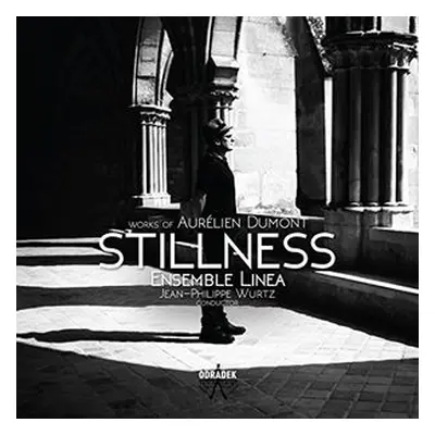 "Stillness: Works of Aurlien Dumont" ("") (CD / Album)