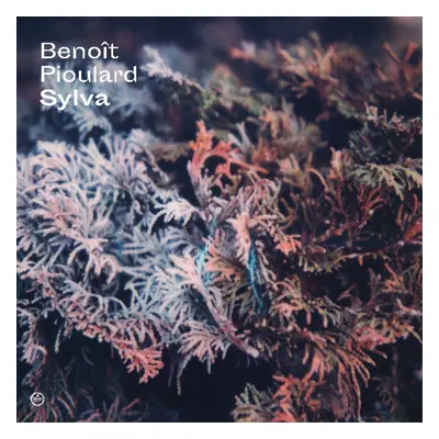 "Sylva" ("Benot Pioulard") (Vinyl / 12" Album)