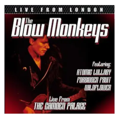 "Live from London" ("The Blow Monkeys") (CD / Album)